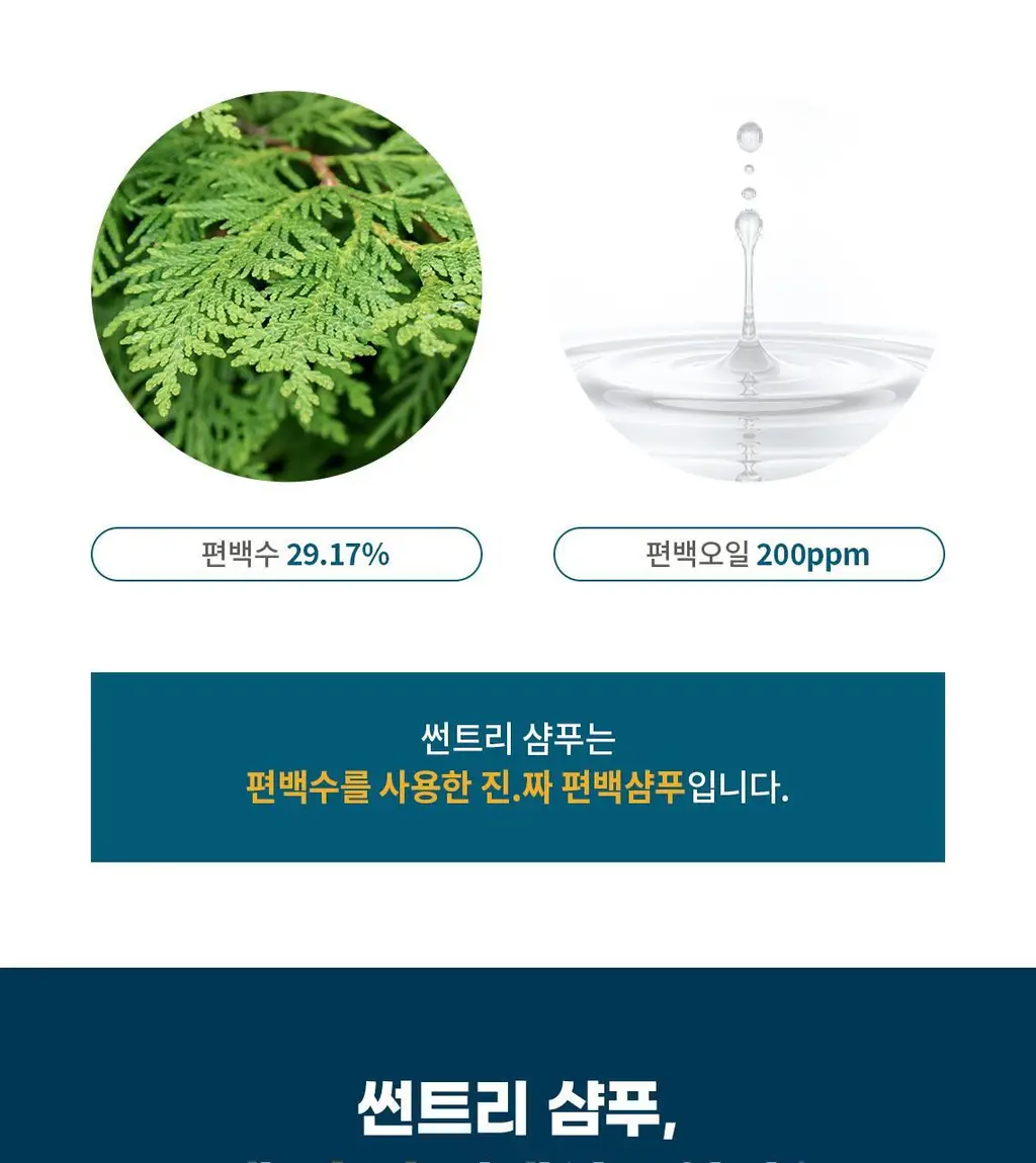 [편백샴푸] 헤드스파7 썬트리 샴푸 500g (탈모증상완화) 상세페이지 8